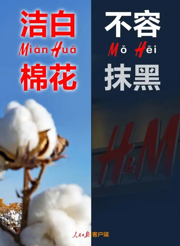 潔白棉花，不容抹黑，花榮華與華一起